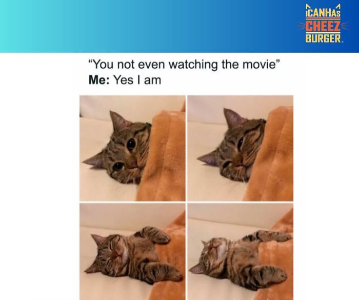 41 Cat Posts Shared By This Page That Are Funny, Sweet, And Spot On
