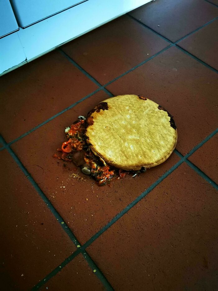 Spoiled pizza on dirty kitchen floor