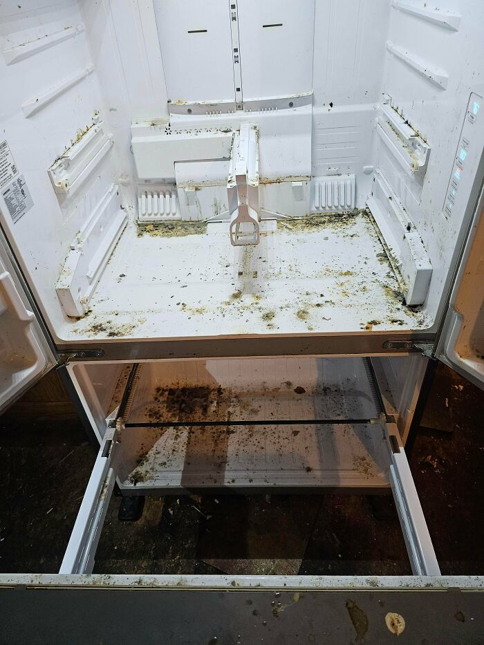 Dirty fridge interior covered with mold and grime