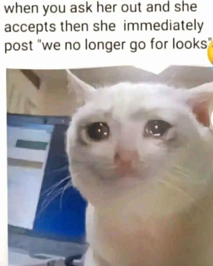 Sad white cat meme about asking her out and looks quote from ex