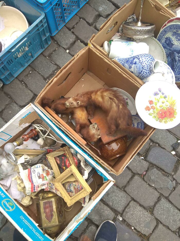 Absurd secondhand market boxes with vintage pottery and stuffed animals on pavement