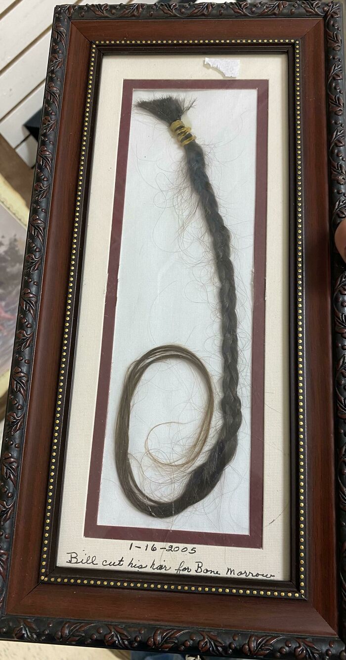 Framed lock of hair cut for bone marrow donation as absurd secondhand find