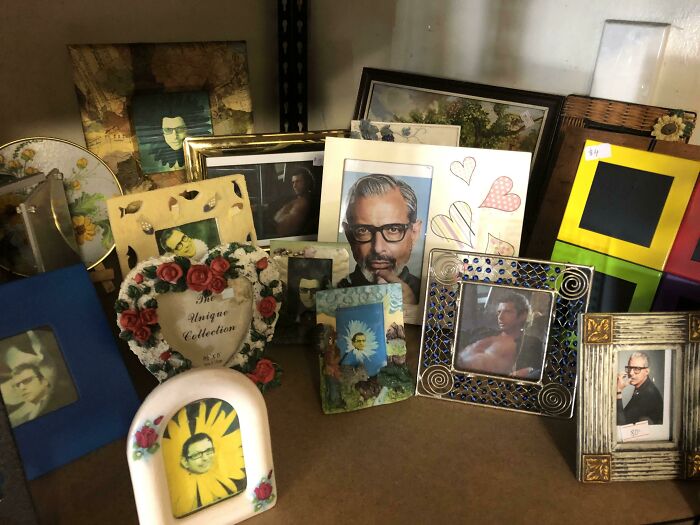 Collection of absurd secondhand photo frames featuring unusual portraits