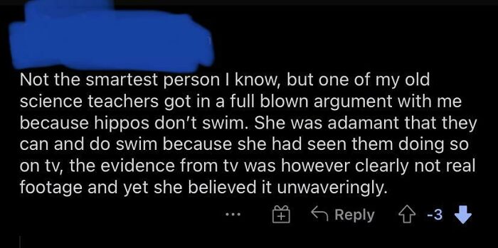 Funny argument about hippos swimming between student and teacher