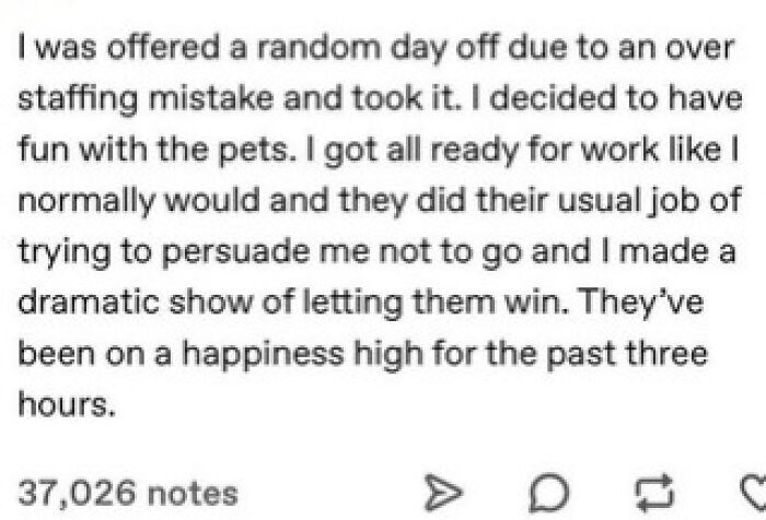 Text post about taking a day off to play with pets and their happiness