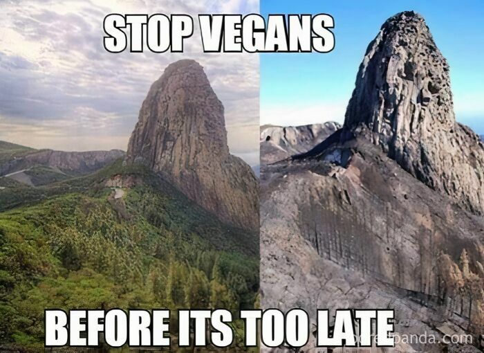 Meme urging to stop vegans showing outdoor mountain scenery