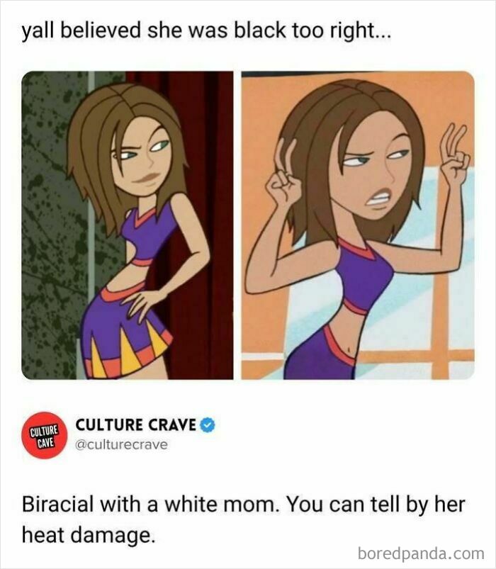 Cartoon meme about biracial identity with white mom and hair damage