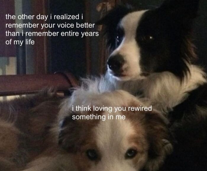 Emotional image with two dogs and text about voice memory and love rewiring