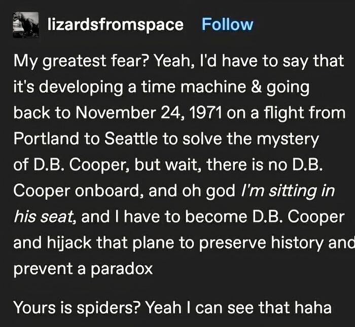 Unhinged post about developing a time machine and becoming D.B. Cooper to prevent a paradox
