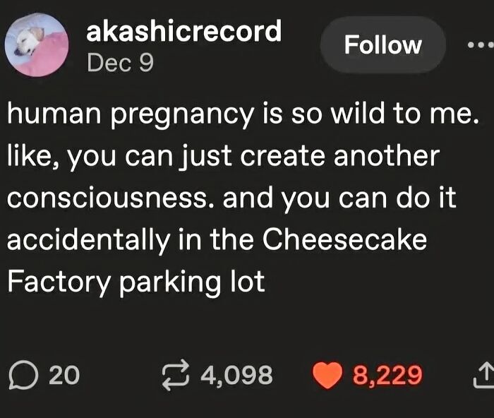 Wild post on human pregnancy creating consciousness accidentally in a parking lot