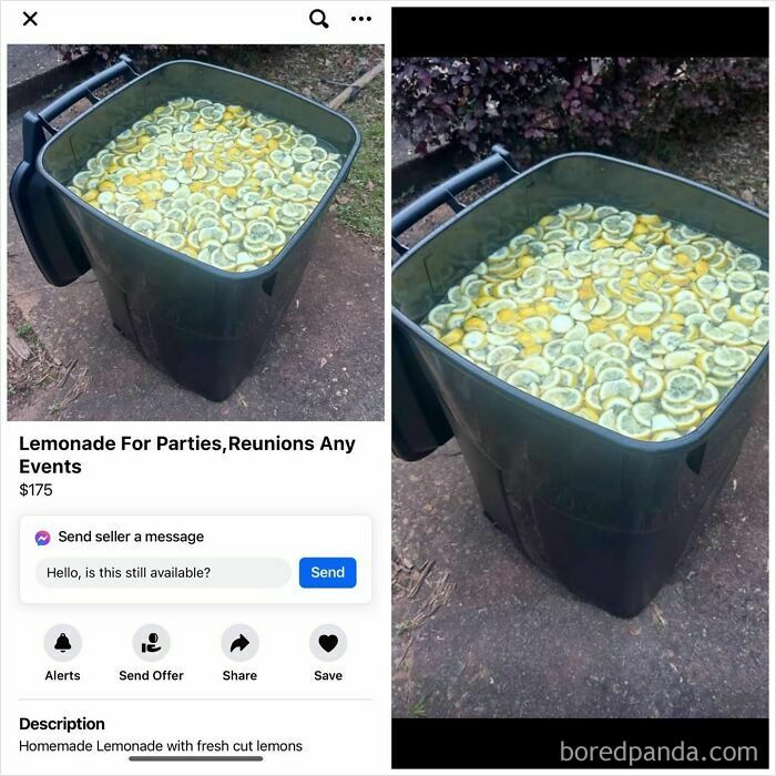 Large container of homemade lemonade with fresh lemon slices on Facebook Marketplace