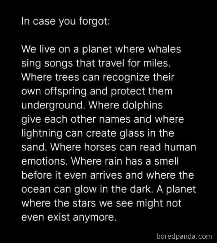 Text post about planet's natural wonders including whales, trees, dolphins, lightning, and ocean glow