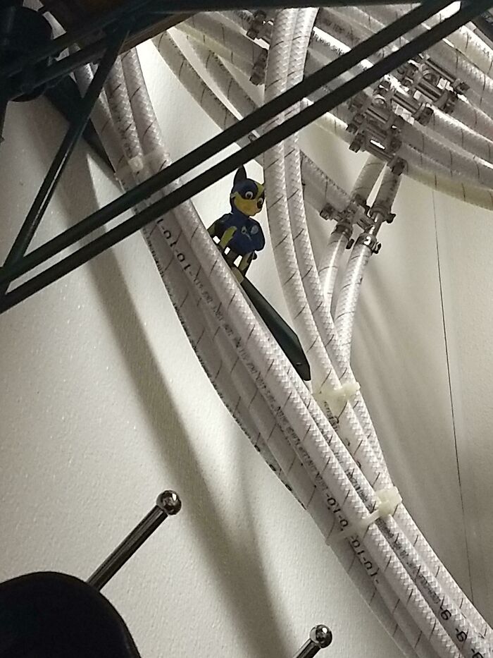 I Know This Is More Of A Goofy Thing, But We Keep Finding Random Toys Around The Workplace And It's Pretty Funny