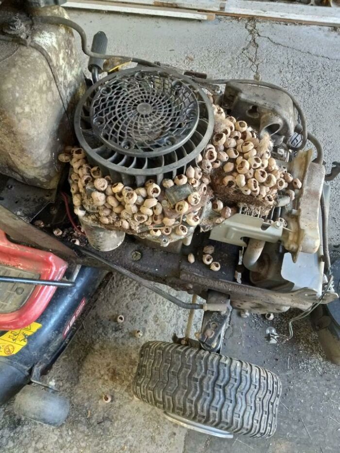 What My Dad Found When Working On Someone's Mower
