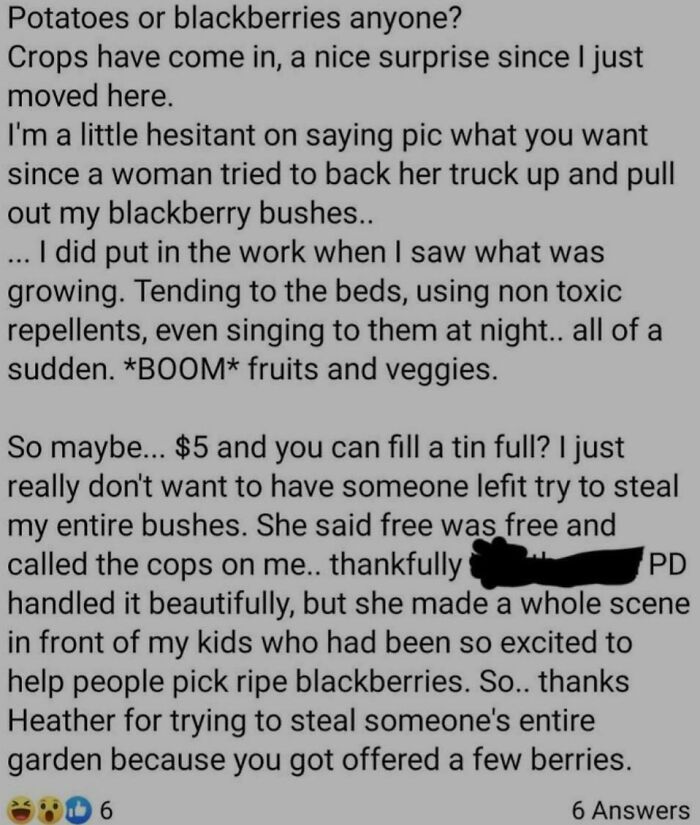 Dramatic post about someone accused of stealing berries after a garden dispute