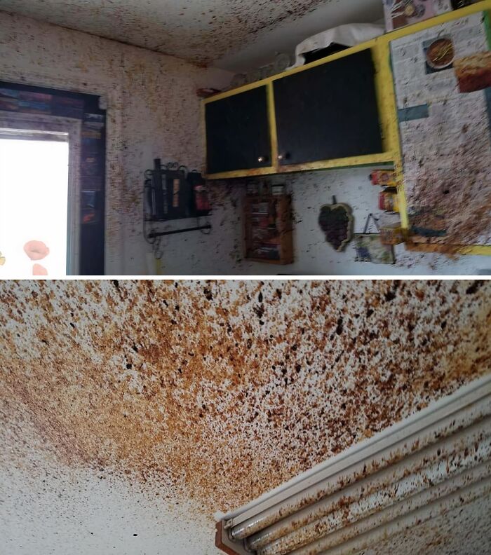 Kitchen walls and ceiling covered in splattered food causing major kitchen fail