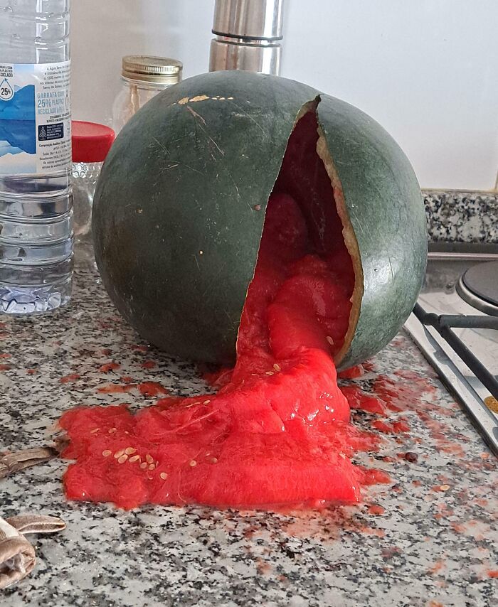 Watermelon split open leaking red pulp on kitchen counter