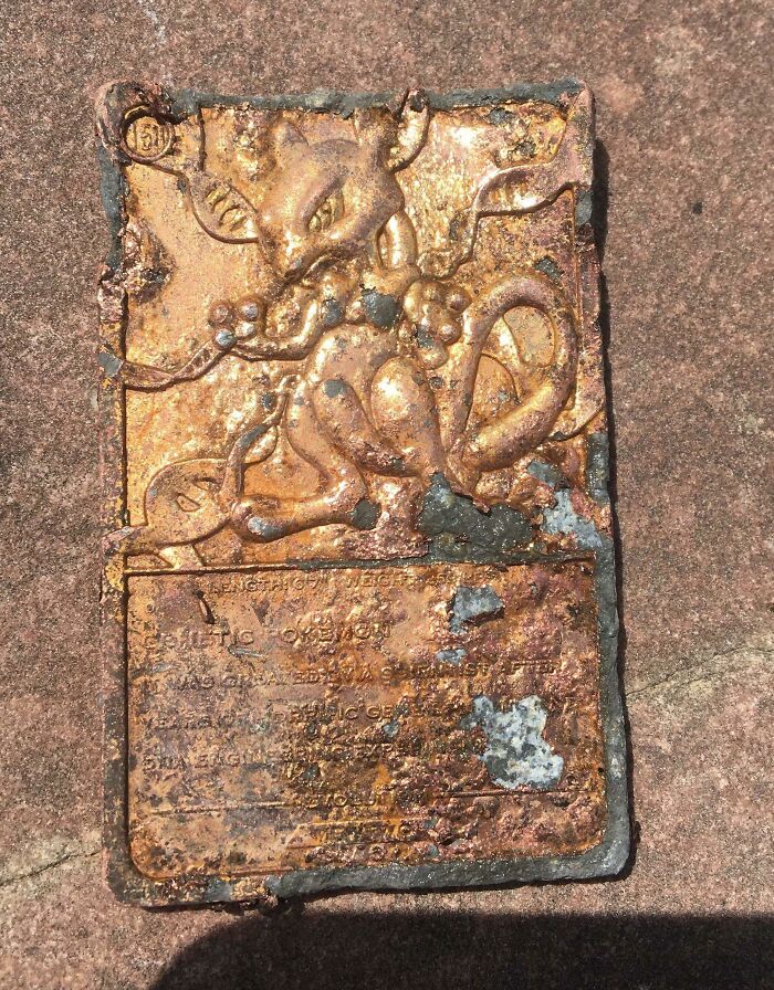 My Brother Found This Fossil While Doing Construction For Work