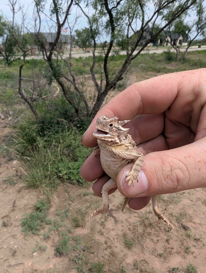 Found This Little Guy Scurrying Around At Work! At Least Someone Was Having A Good Monday