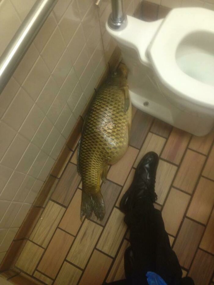 Found This While Working At Mcdonalds