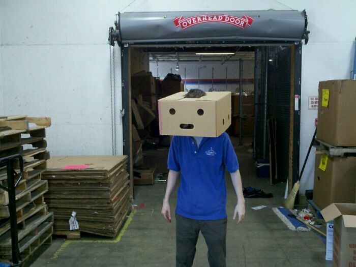 Found This Box At Work. I Am A Robot