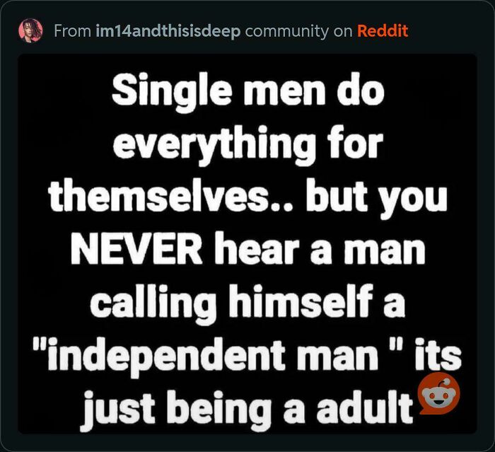 Single men do everything for themselves text meme about independent man meaning
