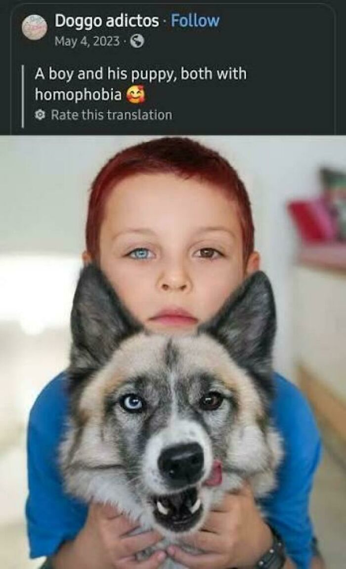 Boy and dog both with different colored eyes mimicking each other