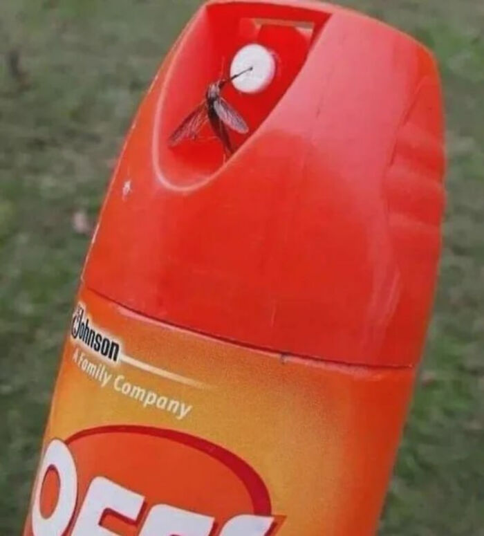 Mosquito trapped in the nozzle of a red DEET insect repellent bottle outdoors