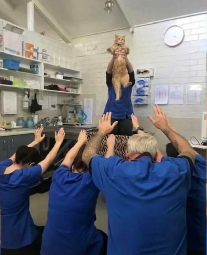 Group of people in blue scrubs raising hands while one holds up an orange cat