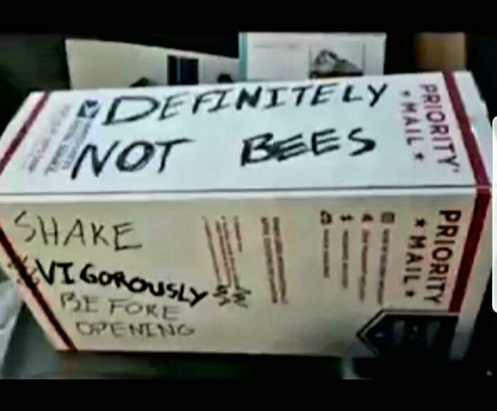 Box labeled definitely not bees with instruction to shake vigorously before opening