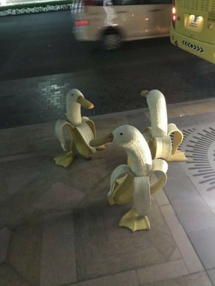 Street art showing duck-banana hybrid sculptures sitting on sidewalk