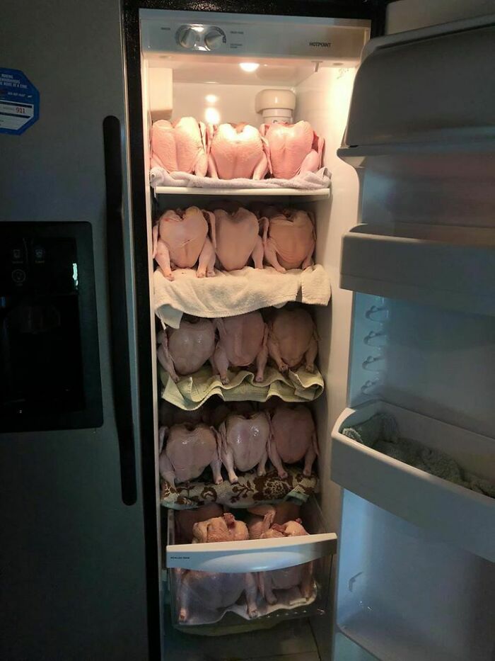 Refrigerator packed with multiple raw chickens stacked on shelves