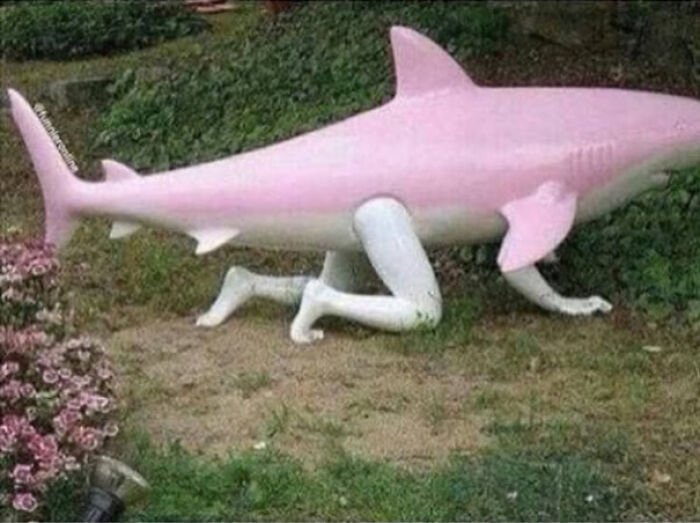 Garden sculpture of a pink shark with human legs hmmm image