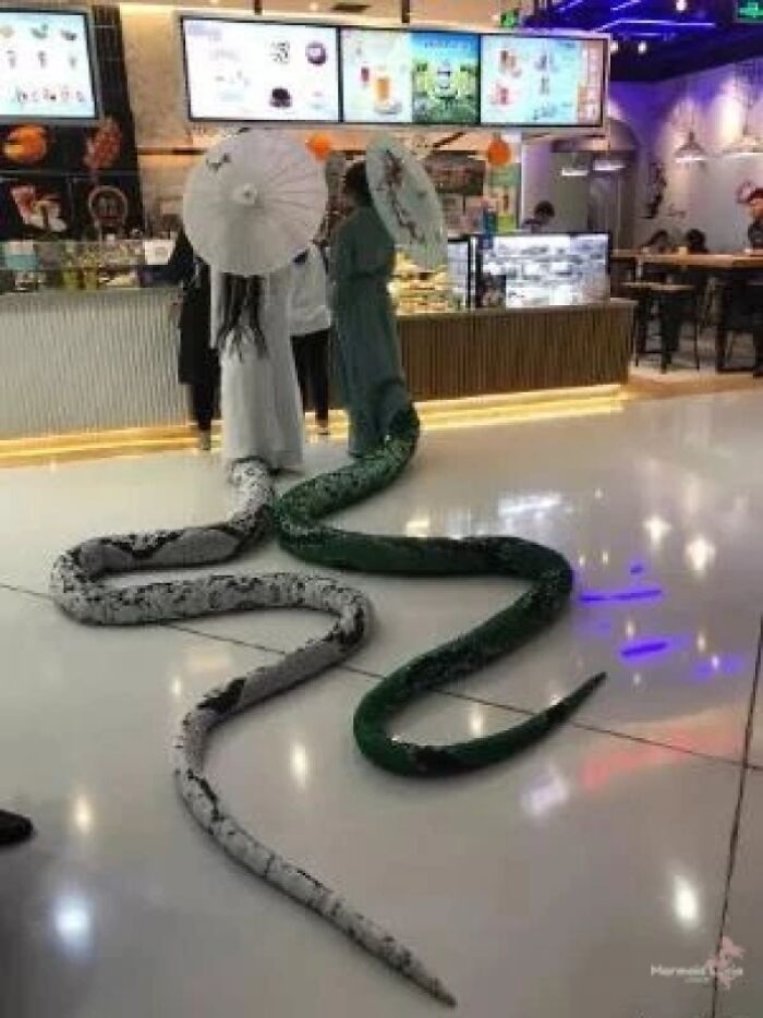 People in snake costumes holding parasols inside a cafe
