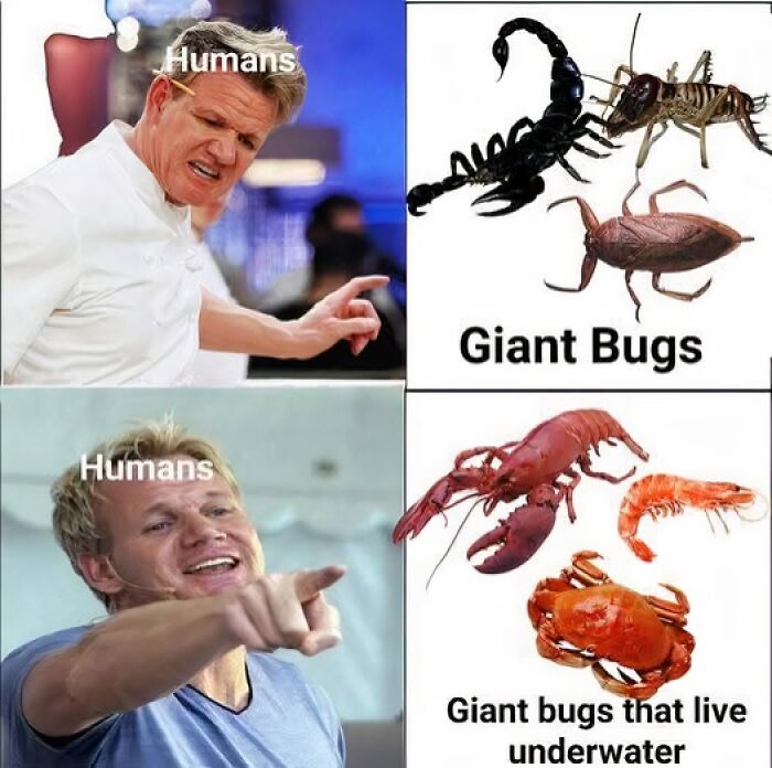 Funny science meme comparing humans reaction to giant bugs