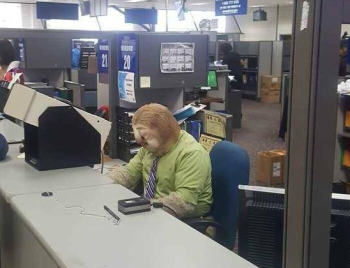 Person wearing realistic bear costume working at office desk