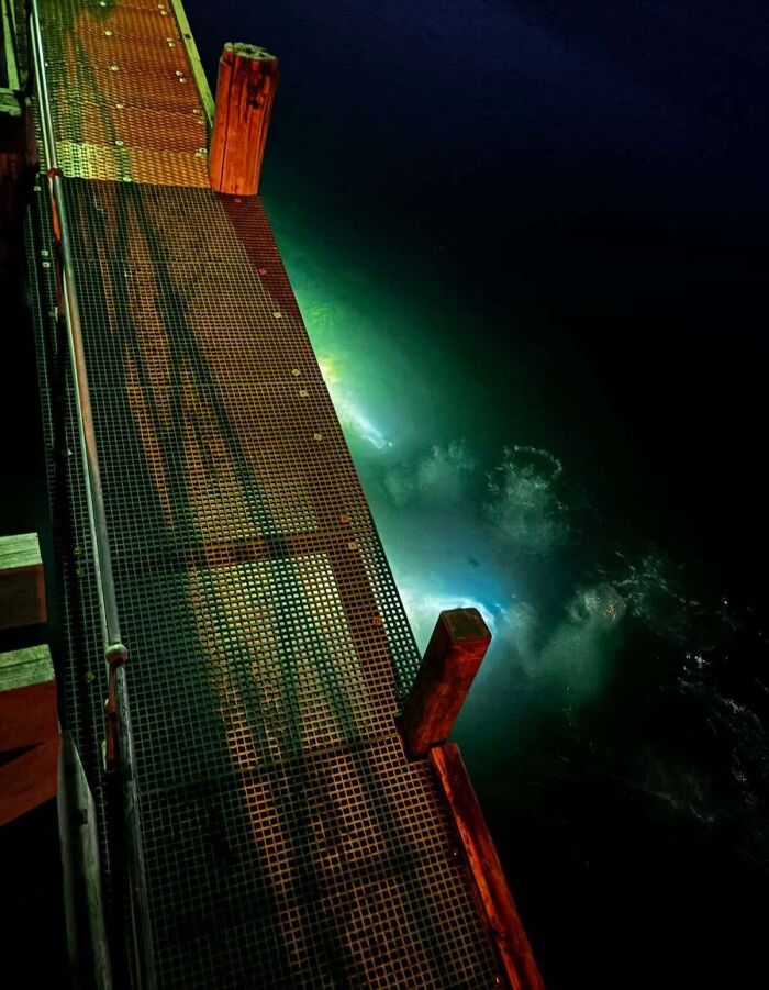 Top View Of A Night Dive