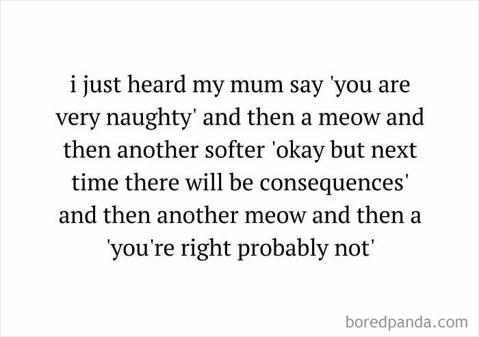 A cat meme with text describing a mum scolding her cat: "you are very naughty" then a meow, and "you're right probably not." Cats memes.