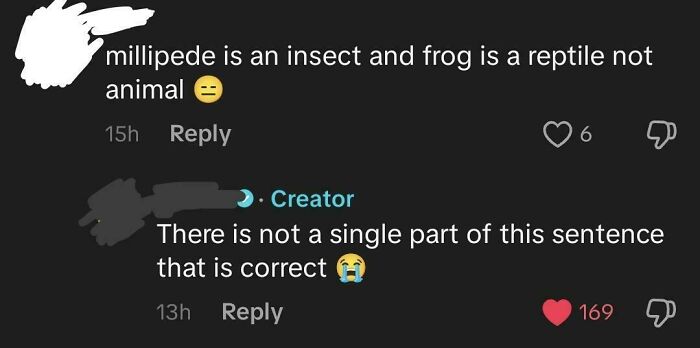 Millipedes Are Not Insects, Frogs Are Not Reptiles, And Arthropods, Reptiles, And Amphibians Are All Animals