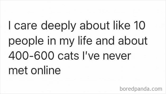 A humorous text meme: "I care deeply about like 10 people in my life and about 400-600 cats I've never met online." This meme highlights a common sentiment among cat lovers, showcasing funny memes about cats.