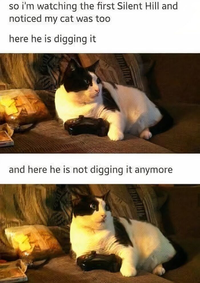 A humorous meme of a cat watching Silent Hill, holding a controller, then looking terrified. These funny cat memes are so relatable!