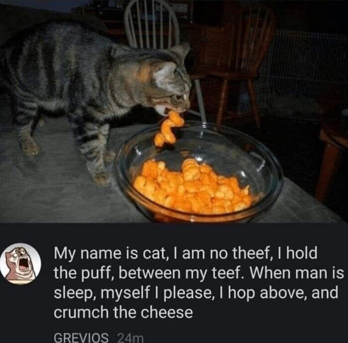 A tabby cat stealing a cheese puff from a bowl. A funny cat meme about a cat eating cheese.