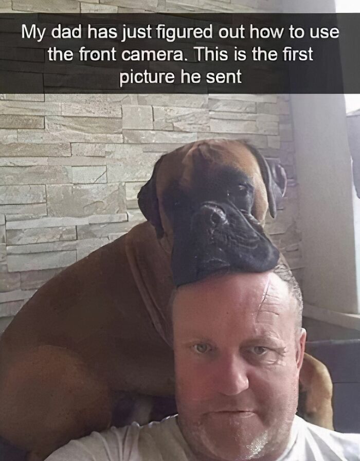 Funny photo of dog resting head on man's shaved head