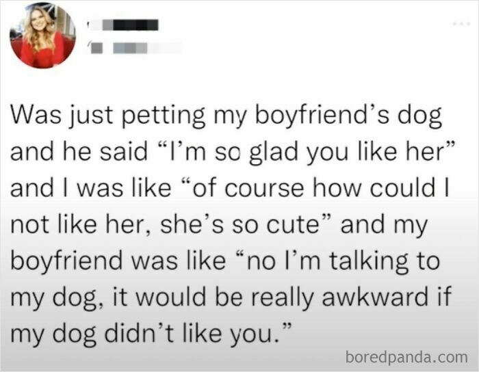 Boyfriend mistaking dog's approval for his girlfriend, a sweet wholesome story