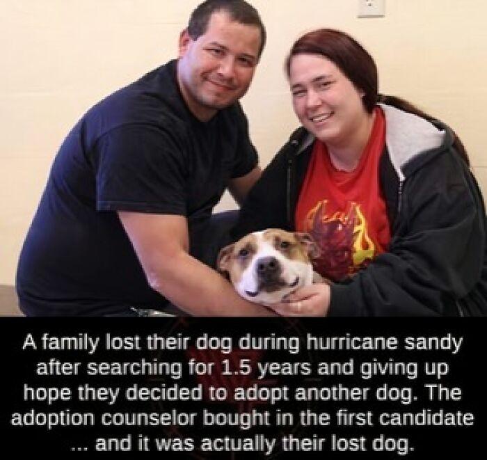 Family reunited with lost dog after hurricane Sandy