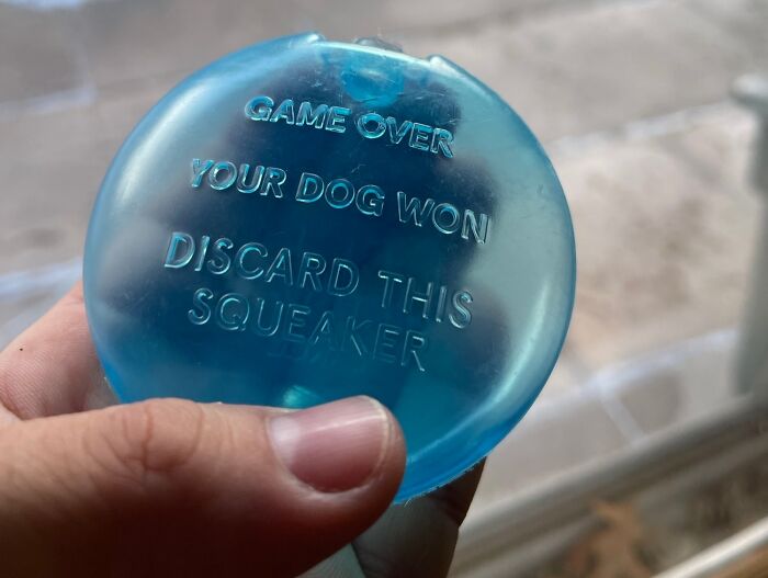 Blue dog toy with message to discard after dog wins game