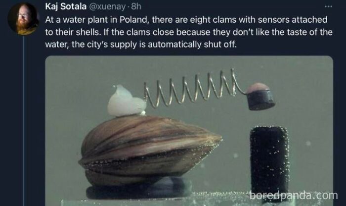 Water plant clam sensor for automatic city water shutoff