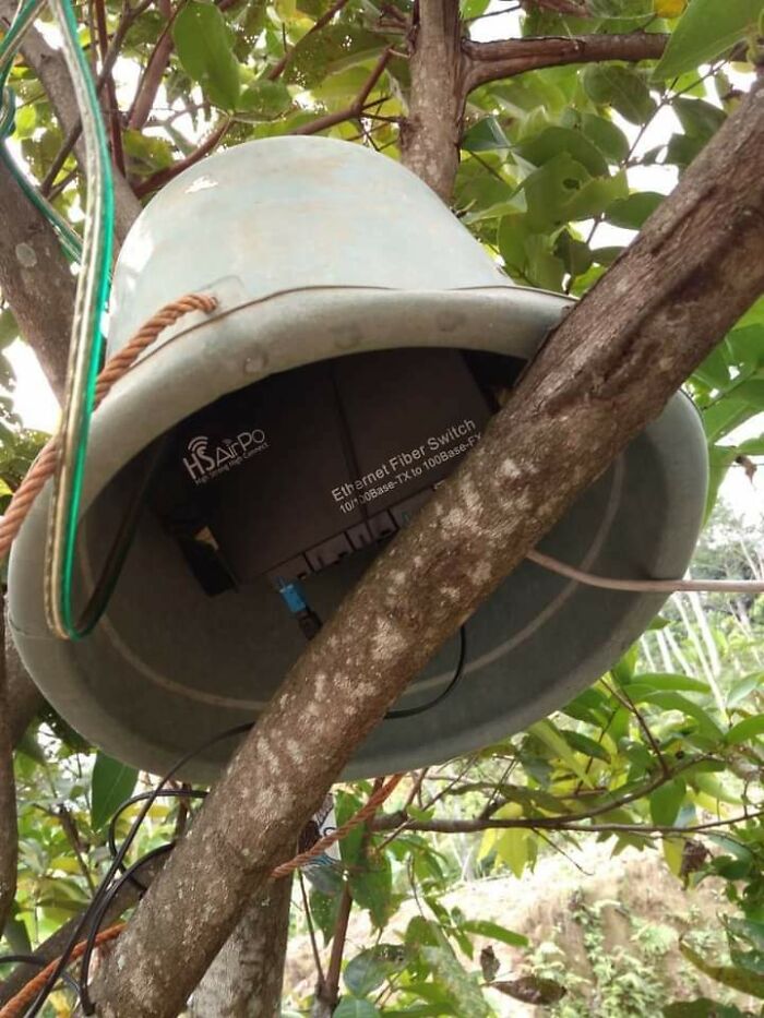 DIY network equipment housing made from a bucket placed in tree branches