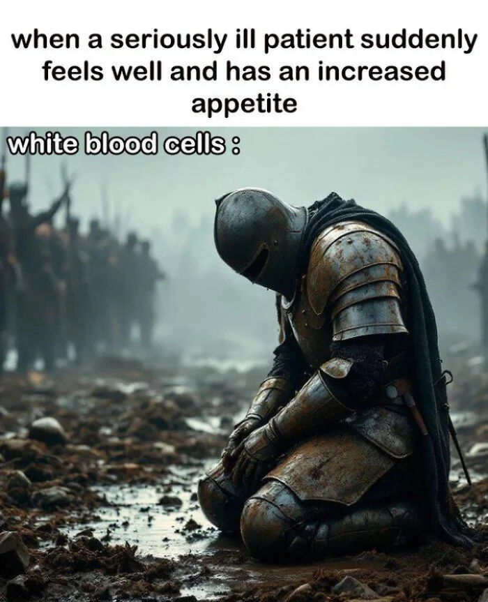 Knight kneeling in battlefield with text about white blood cells and patient appetite internet content