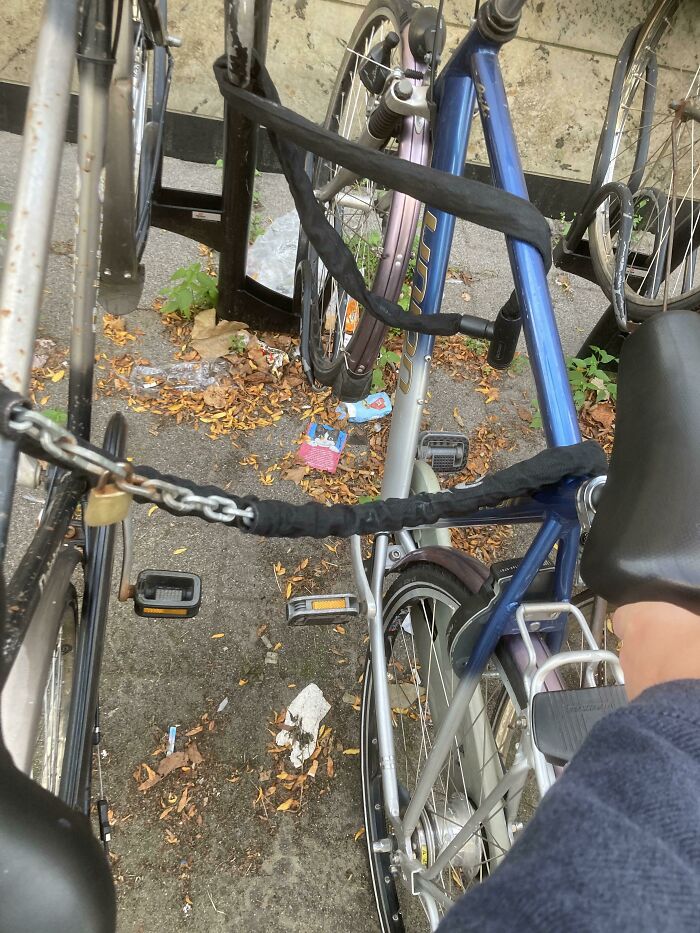 62 Times Everyday Strangers Dropped All Social Norms And Just Did Whatever The Heck They Wanted